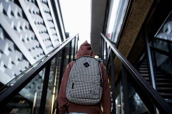 рюкзак 3101 Гусиная лапка